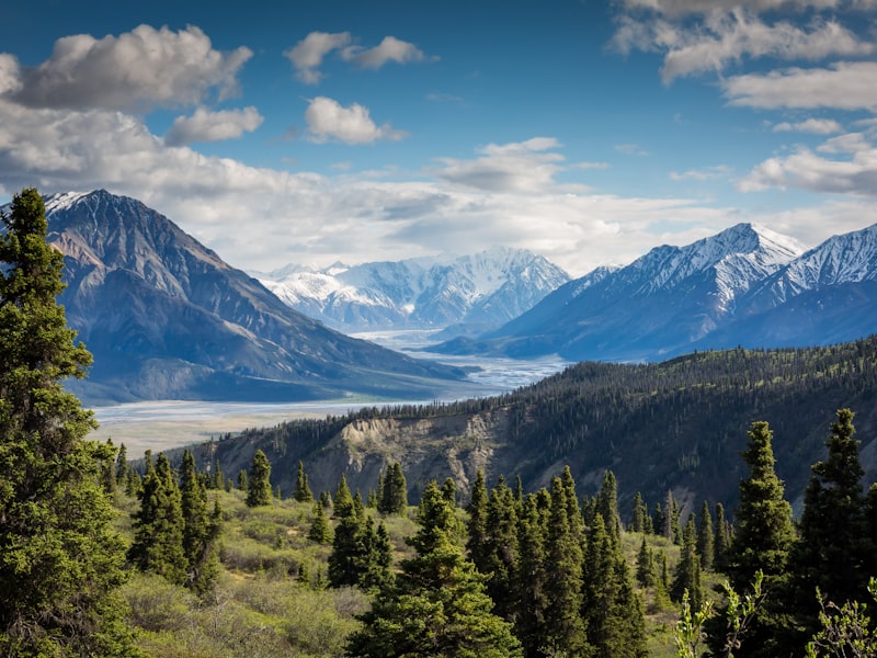 登山队成功登顶珠穆朗玛峰使用专业登山装备的辉煌时刻